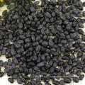 Hot Sale New Crop 2016 Black Kidney Bean